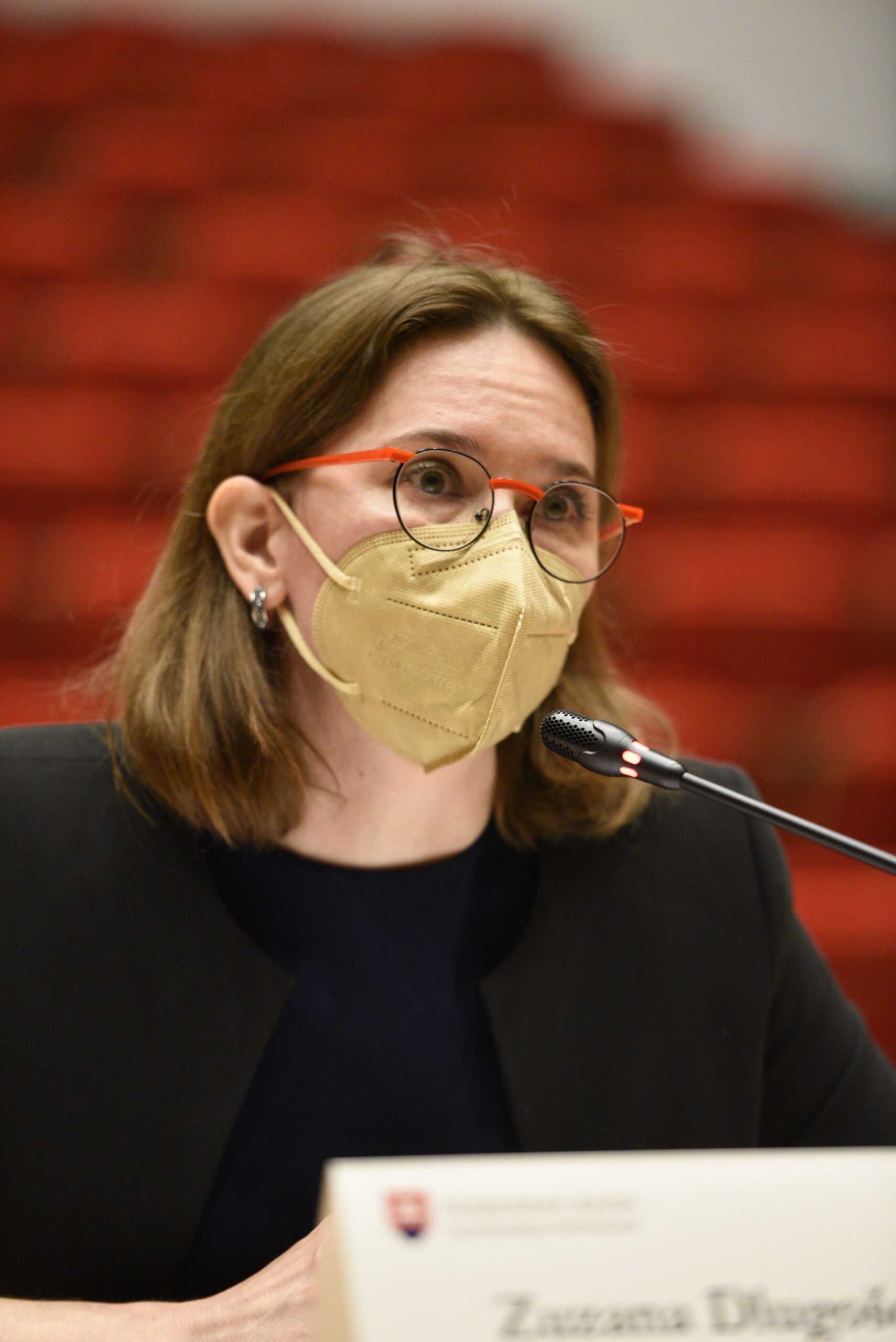 Mgr. Zuzana Dlugošová - Boj proti korupcii
